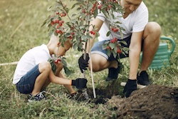 Abbildung 2 Erwachsener und Kind pflanzen einen Baum © freepik