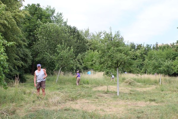 ArbeiterInnen machen Heu auf dem Feld