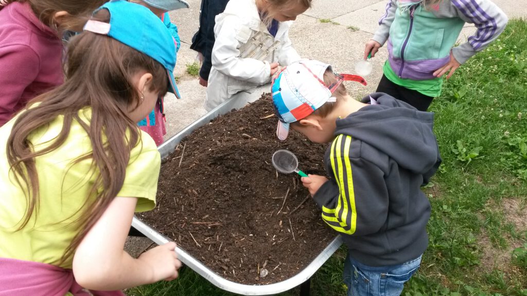 Kinder Umweltbildung