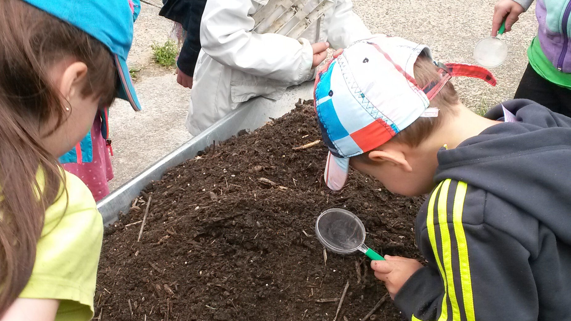 Home Kinder Umweltbildung