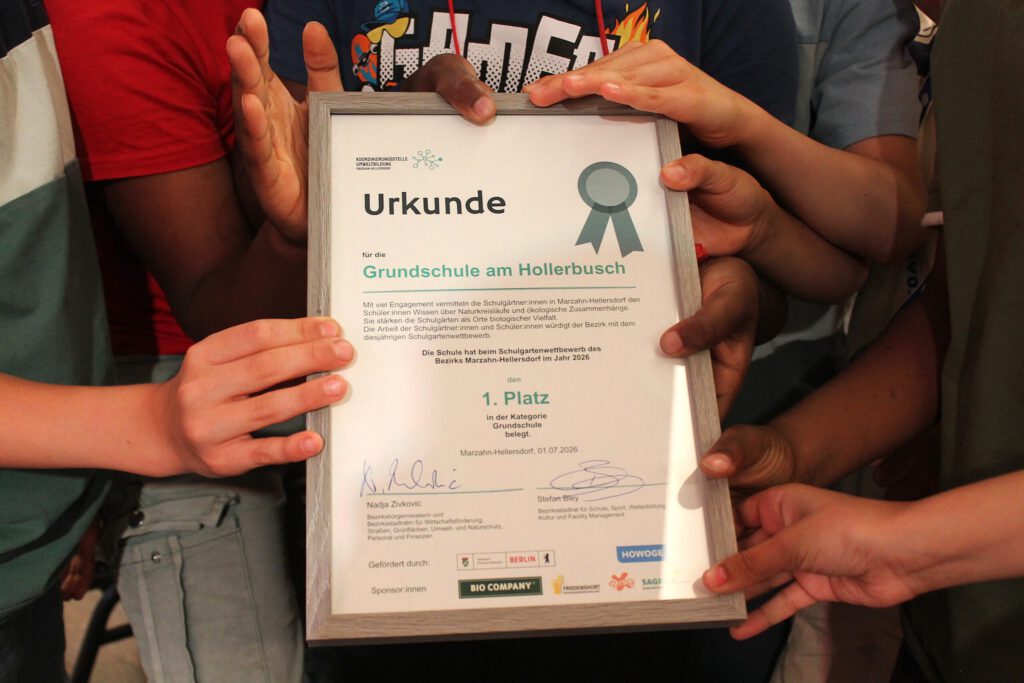 Foto der Urkunde für den 1. Platz der Grundschule am Hollerbusch im Schulgartenwettbewerb Marzahn-Hellersdorf 2026 in der Kategorie Grundschule. Die Urkunde ist gerahmt und wird von mehreren Kinderhänden gleichzeitig gehalten.